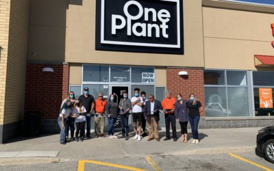 One Plant sets up shop in BWG!