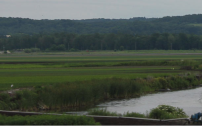 CENGN Partners with Rogers to bring High-Speed Broadband to the Holland Marsh Area